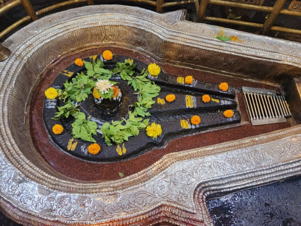 Bhimashankara jyotirlinga
