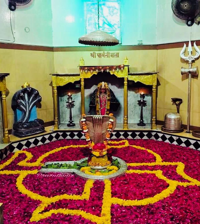 nageshwar jyothirling
